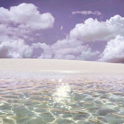 天天彩票app安卓版