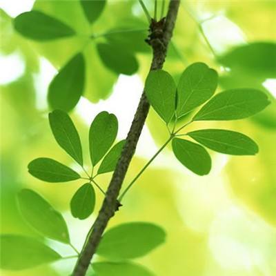 pg游戏官方网站