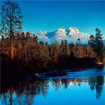 澳客APP下载官网app下载