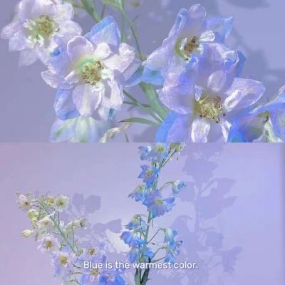 永乐国际手机app下载