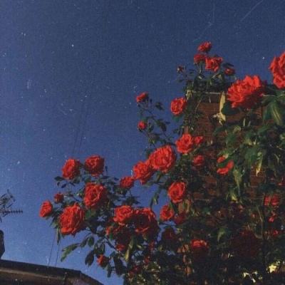 火狐体育APP体育下载手机版