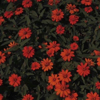 万博体育官方app