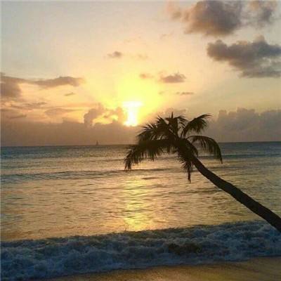 皇冠综合体育官方app下载