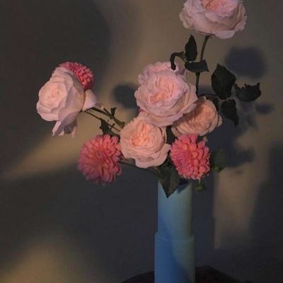 风云体育官方APP网址