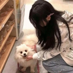 金博宝官网app下载截图