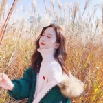 6566体育下载手机版